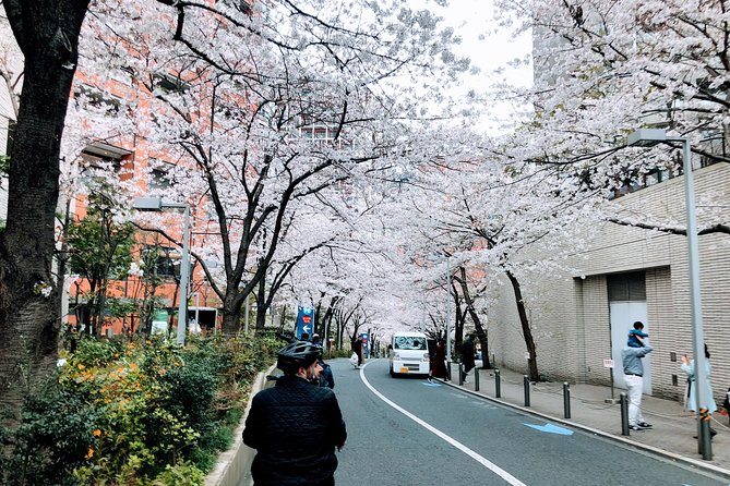 Tokyo Cherry Blossoms blooming spots E-bike Tour, 3hrs - Hibiya Park and the city’s open spaces