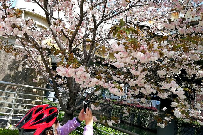 Tokyo Cherry Blossoms blooming spots E-bike Tour, 3hrs - Kensei Kinenkan, a quieter final park stop