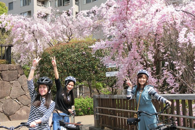 Tokyo Cherry Blossoms blooming spots E-bike Tour, 3hrs - Starting near Kanda Station