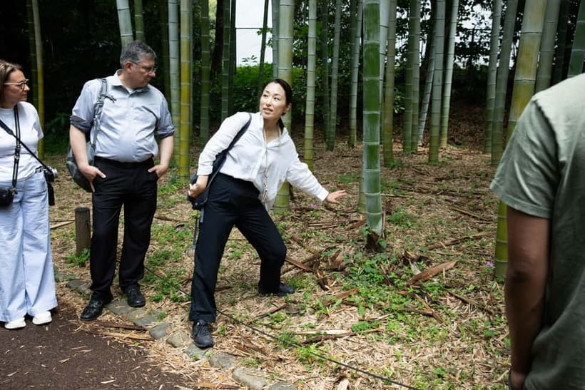 Tokyo: Imperial Palace East Gardens Walking Tour - Is $19 a fair price?