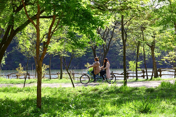 Trip to Nami Island with Petite France & Italian Village, Garden of Morning Calm - A long day, with weather and traffic in control