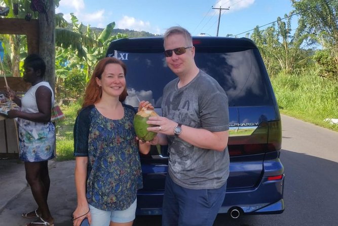 Trip to Soufiere: Volcano, Twin Pitons, Waterfall, Mud Bath & Botanical Garden - The Twin Pitons close up