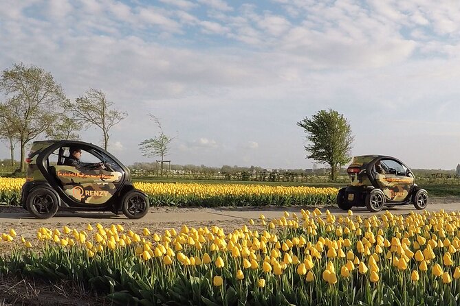 Tulip Fields near Keukenhof - Self-Drive Audio Tour for 2 People - Following the fixed GPS route through Lisse