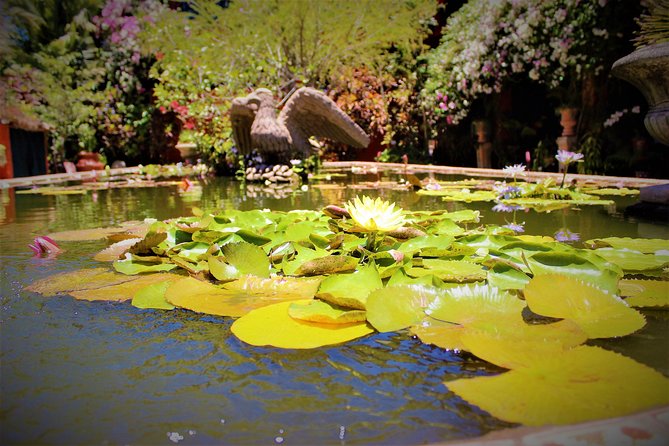 Vallarta Botanical Garden and Tequila Tasting from Puerto Vallarta - Lunch choices at the garden and ranch