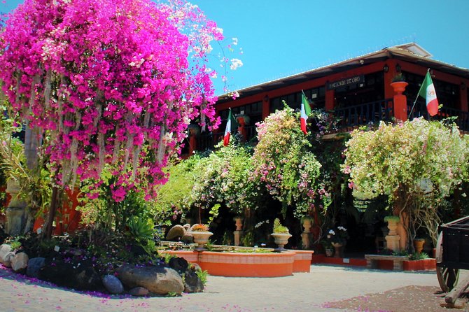 Vallarta Botanical Garden and Tequila Tasting from Puerto Vallarta - Guides, vehicles, and group size