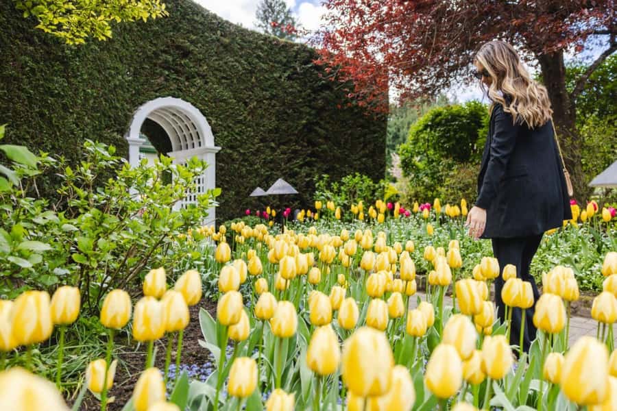 Vancouver to Victoria Seaplane Day Trip + Butchart Gardens - Should you book it?