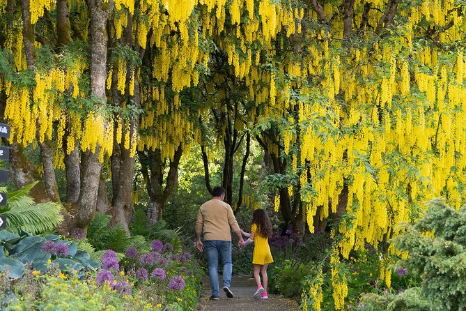 VanDusen Botanical Garden Admission Ticket - The Elizabethan hedge maze