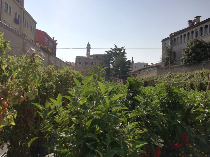 Venice: Secret City Gardens Walking Tour - Why Venice’s gardens are worth your time