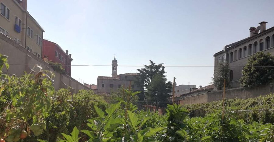 Venice: Secret City Gardens Walking Tour - Private gardens behind Venetian walls