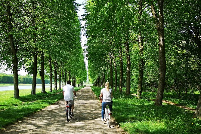 Versailles Bike Tour with Market, Gardens & Guided Palace Tour - The Palace Forecourt Sets the Scene