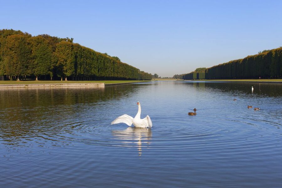 Versailles: Skip-the-Line Guided Tour of Palace with Gardens - Who should choose this Versailles tour?