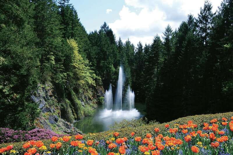 Victoria: City Highlights and Butchart Gardens Tour - Beacon Hill Park and Victoria’s city sights