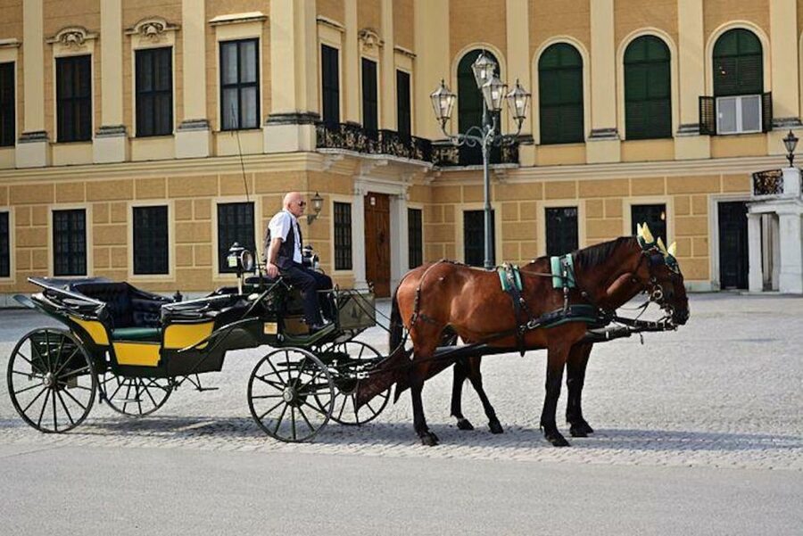 Vienna: Carriage Ride Through Schönbrunn Palace Gardens - Neptune Fountain and the Imperial Garden Axis