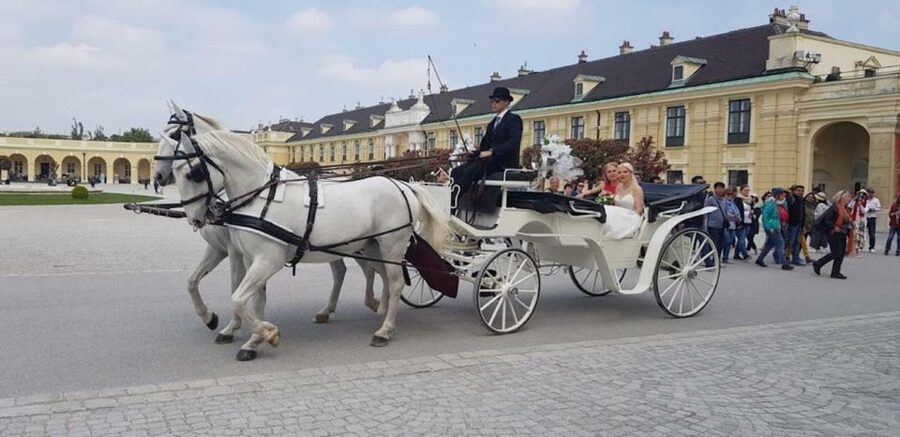 Vienna: Carriage Ride Through Schönbrunn Palace Gardens - Palm House, Orangerie, and Other Imperial-Era Buildings