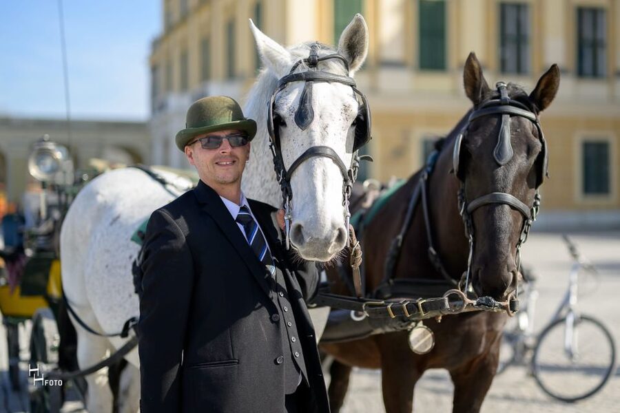 Vienna: Carriage Ride Through Schönbrunn Palace Gardens - Is 30 Minutes Enough at Schönbrunn?