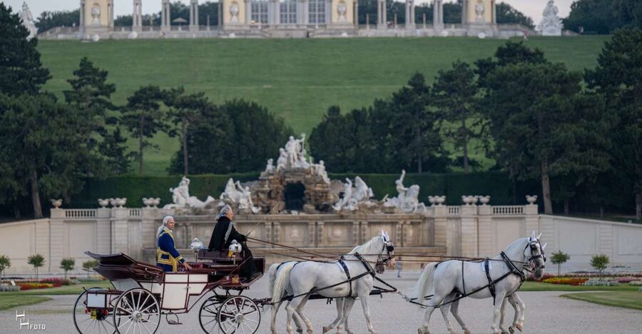 Vienna: Carriage Ride Through Schönbrunn Palace Gardens - Who Will Get the Most From This Ride?