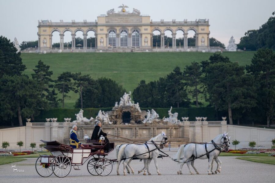 Vienna: Carriage Ride Through Schönbrunn Palace Gardens - Practical Details Before You Book