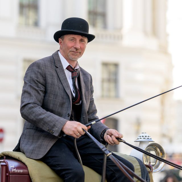 Vienna: Carriage Ride Through Schönbrunn Palace Gardens - Should You Book the Schönbrunn Fiaker Ride?