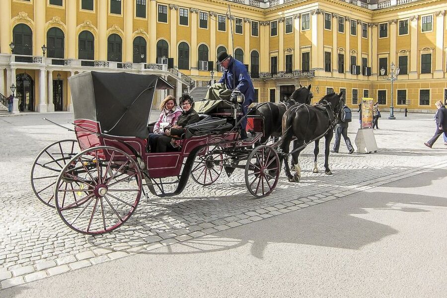Vienna: Schönbrunn Palace & Gardens Skip-the-Line Tour - Should you book the Schönbrunn Palace tour?