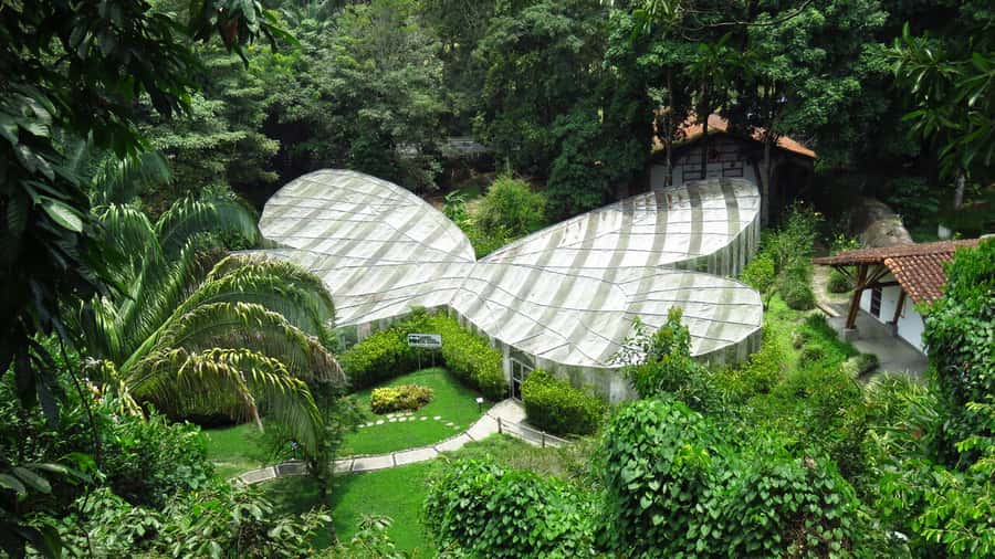 Walking tour José Celestino Mutis Botanical Garden 3 hrs - Why José Celestino Mutis belongs on your Bogotá list