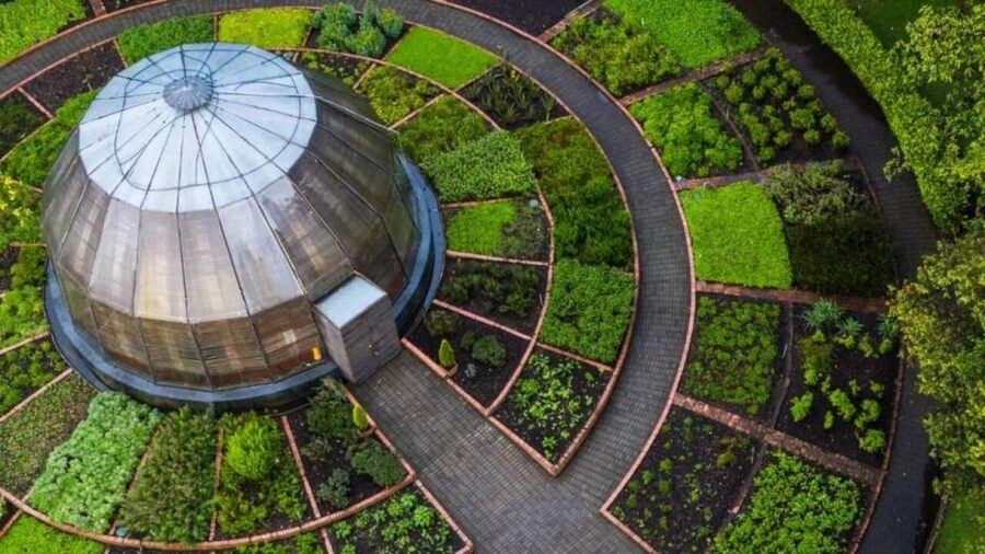 Walking tour José Celestino Mutis Botanical Garden 3 hrs - How the private format changes the visit