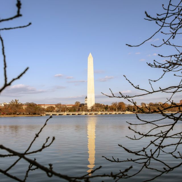 Washington: Cherry Blossom Tour - Why this tour works during cherry-blossom season