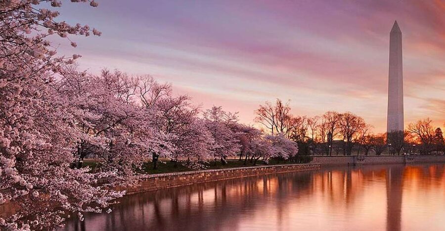 Washington: Cherry Blossom Tour - Lincoln Memorial: a powerful first stop
