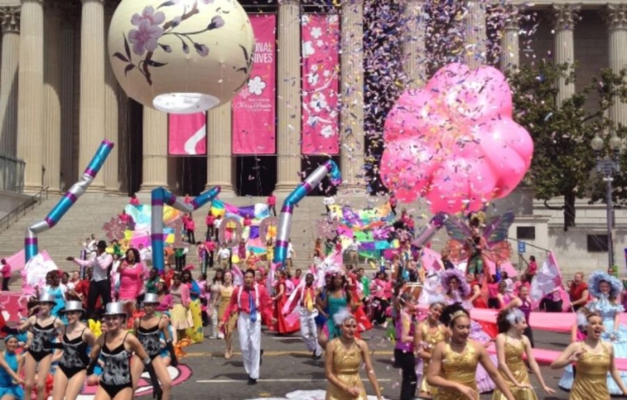 Washington: Cherry Blossom Tour - A guide can make or break the four hours