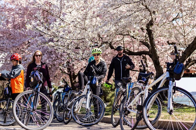Washington DC Cherry Blossoms By Bike Tour - Starting near 701 D Street NW